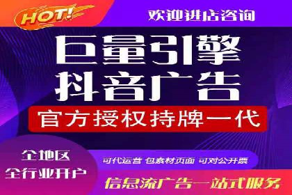 百度广告投放策略优化及成功案例解析